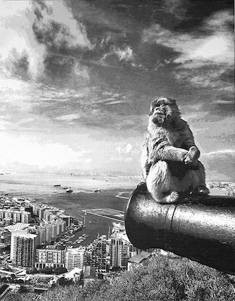 Gibraltar 2017